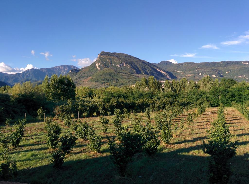 La luna nel fiume Giffoni Valle Piana Esterno foto